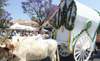 EL ROCIO 2025 Problemas en los pies durante el Camino del Rocío: lesiones más frecuentes y cómo evitarlas