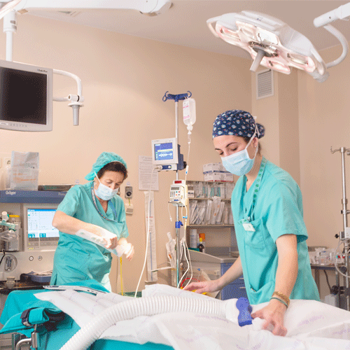 Pacientes sin dolor: objetivo fundamental para los anestesiólogos