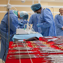 Profesionales de todo el mundo se forman en Implantología Zigomática en Vithas Davó Instituto Dental