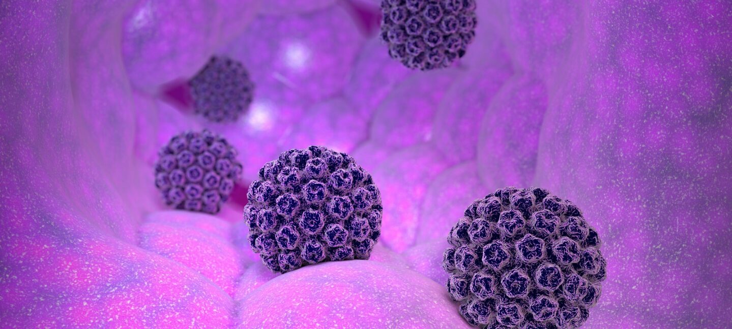 La vacunación, clave frente a la infección del VPH y posibles lesiones asociadas de cáncer de cérvix