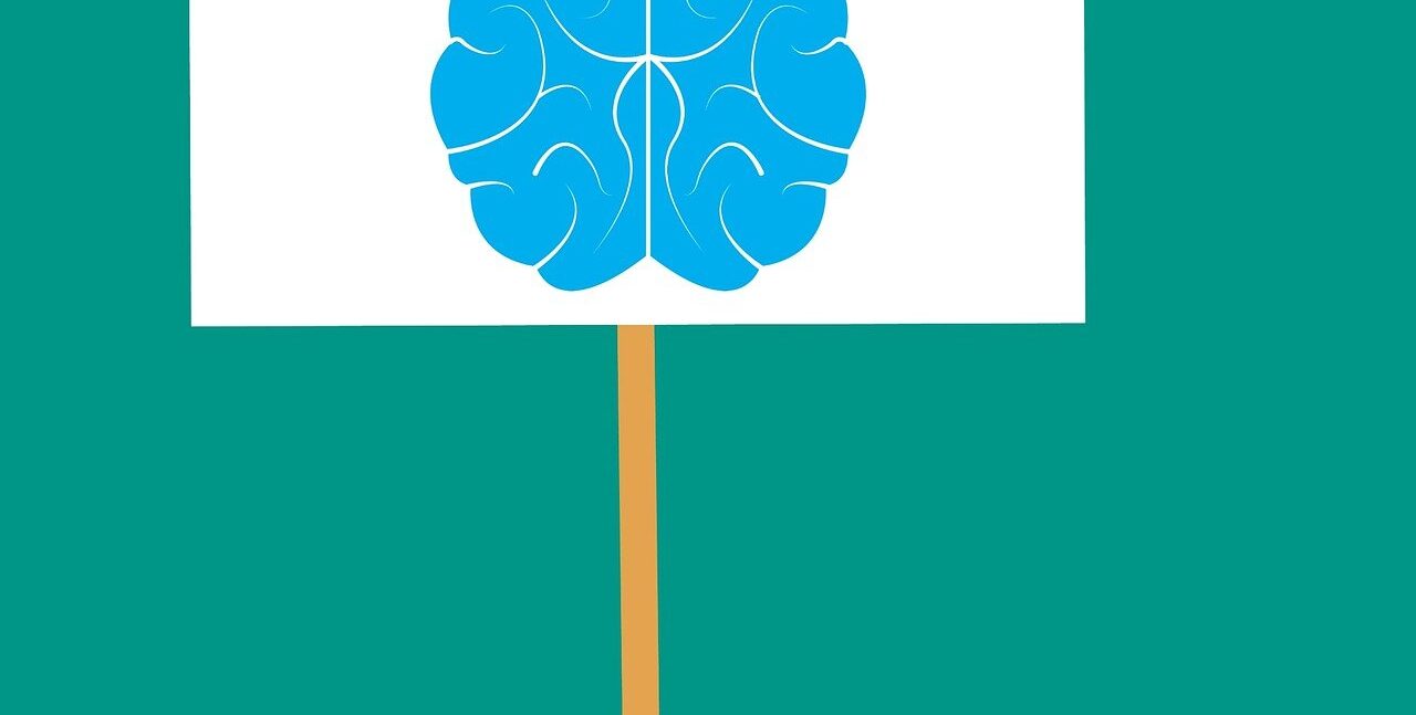 Curiosidades sobre el cerebro