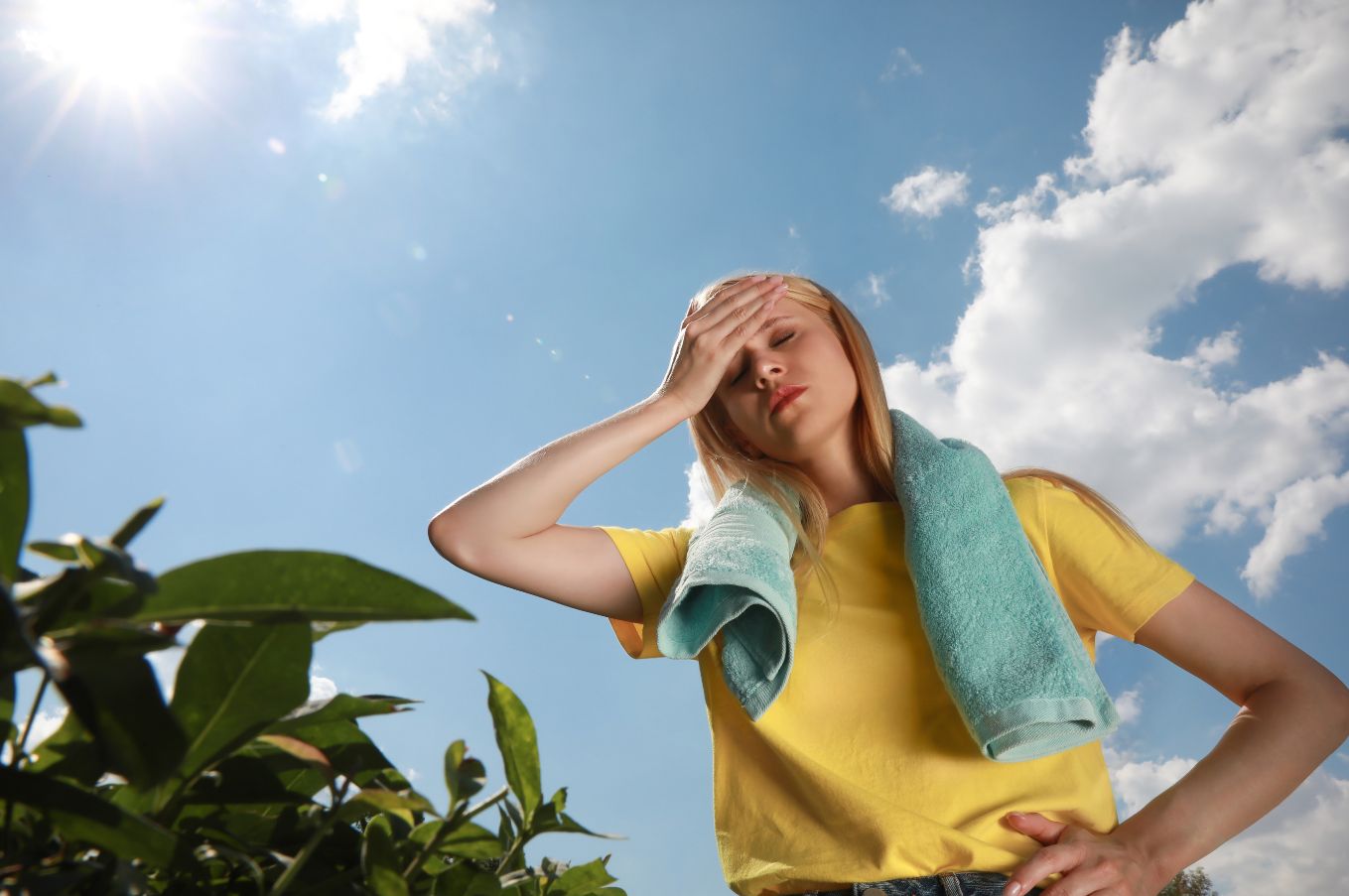 Cómo evitar los golpes de calor en Álava