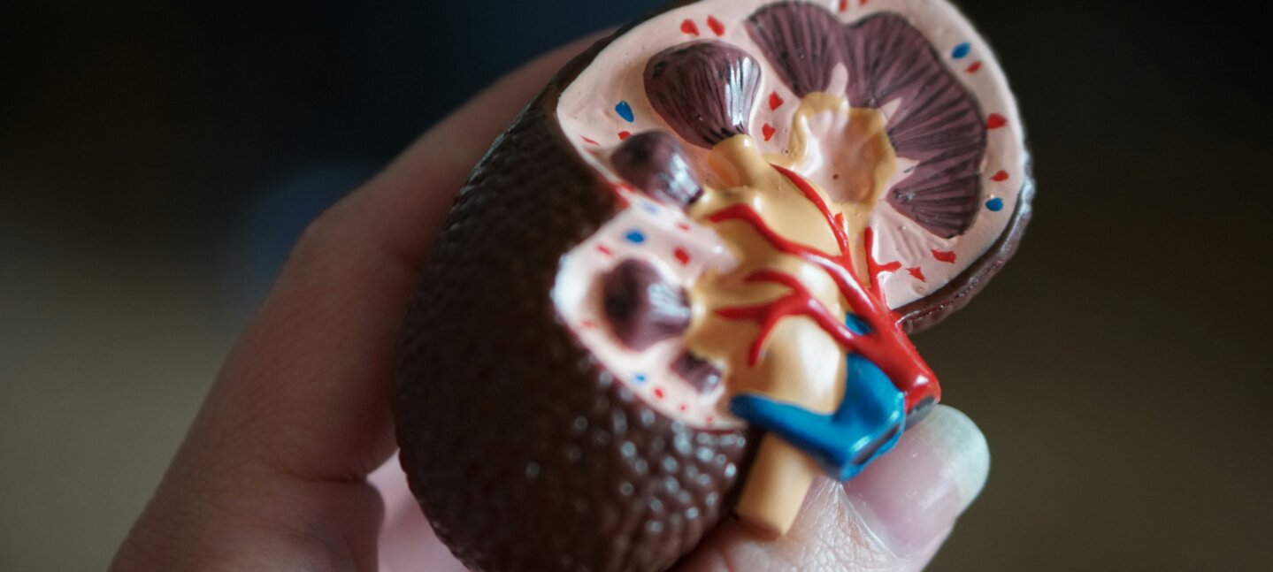 Adiposopatía y Daño Renal: Una Relación silenciosa pero peligrosa