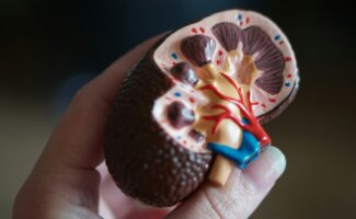 Adiposopatía y Daño Renal: Una Relación silenciosa pero peligrosa