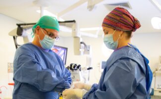 Las hernias discales son una de las principales causas de dolor lumbar y cervical en adultos Las hernias discales son una de las principales causas de dolor lumbar y cervical en adultos