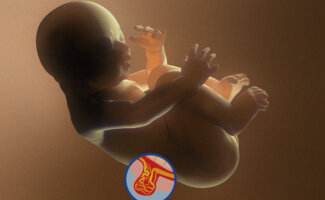 Los hospitales Vithas de la Comunidad Valenciana destacan los avances médicos y el acompañamiento emocional a las familias