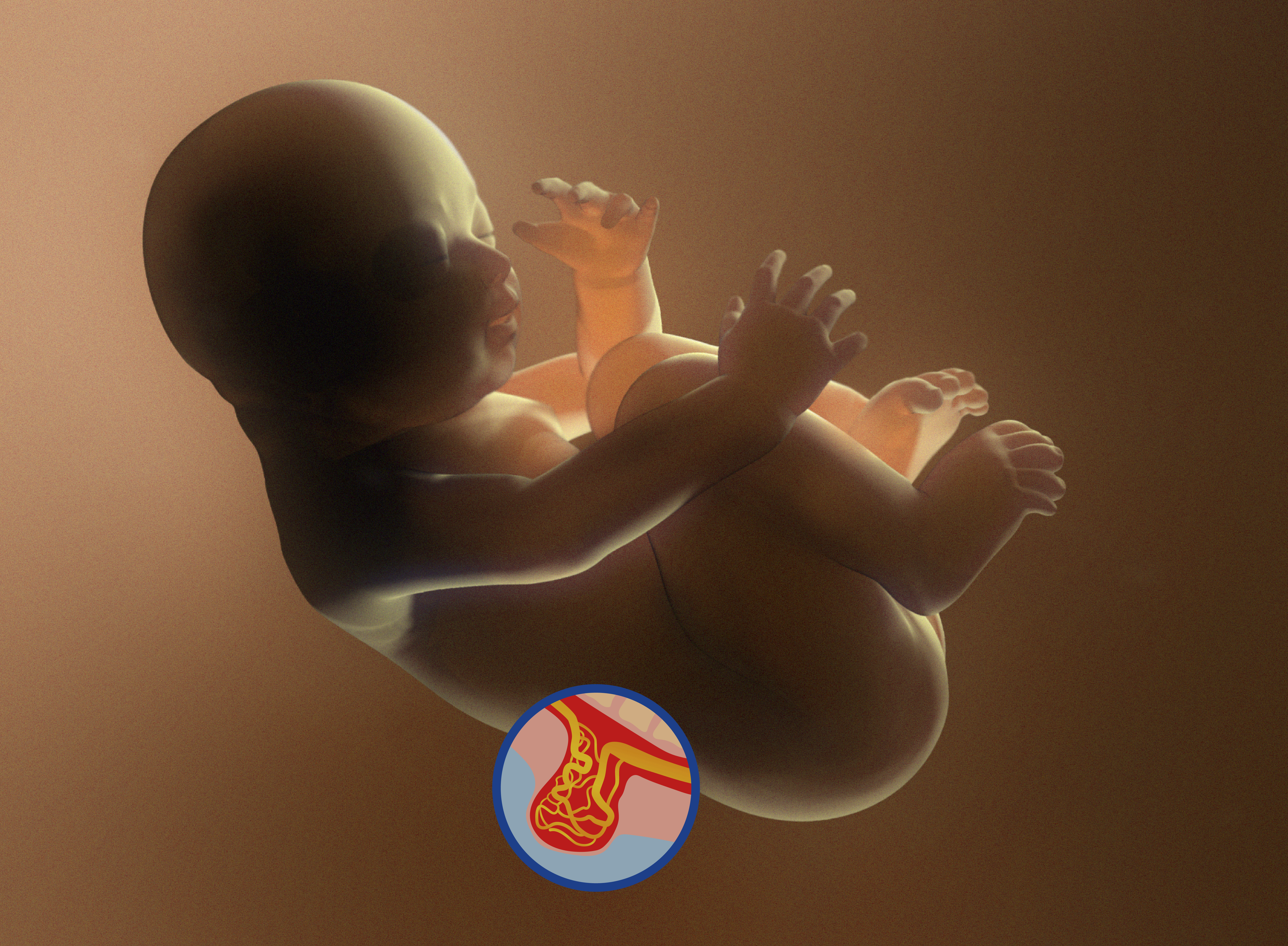 Los hospitales Vithas de la Comunidad Valenciana destacan los avances médicos y el acompañamiento emocional a las familias