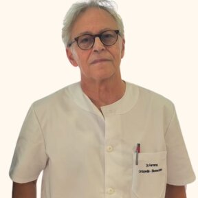 Sr Fernando Ferreras Gómez