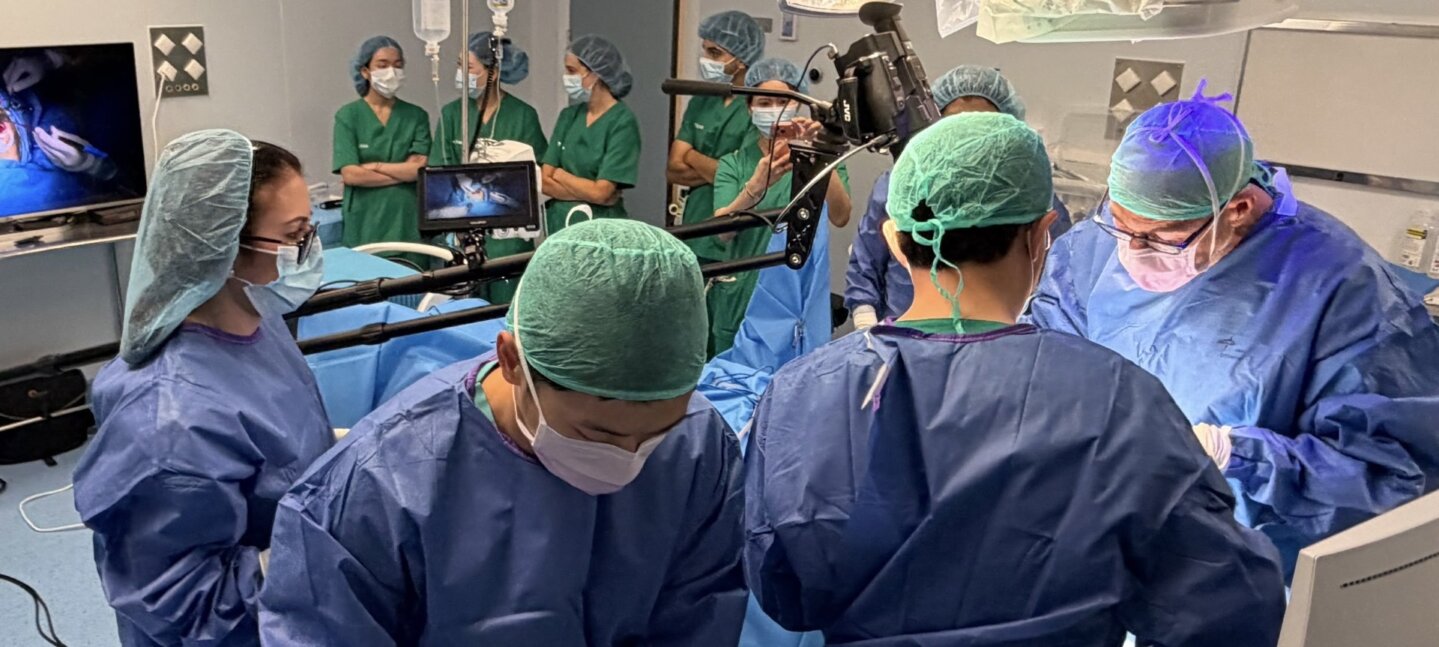 Cirujanos de Tailandia viajan a Alicante para formarse en implantología compleja con el Dr. Rubén Davó Cirujanos de Tailandia viajan a Alicante para formarse en implantología compleja con el Dr. Rubén Davó